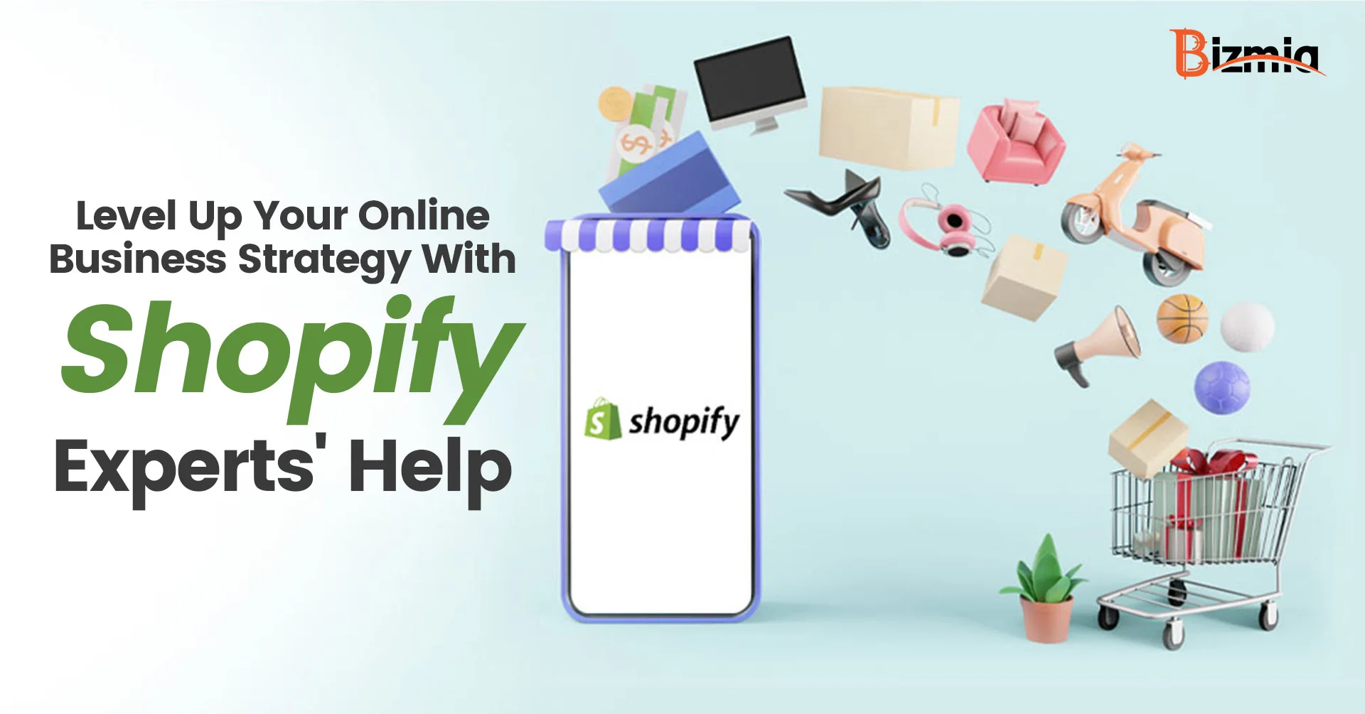 Online Business Strategy with Shopify Expert