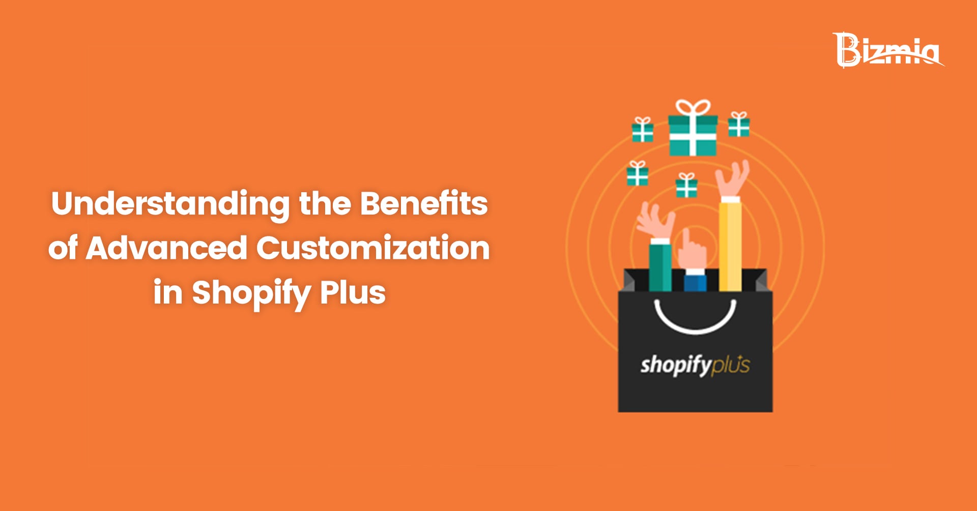 Shopify Plus Customization Services